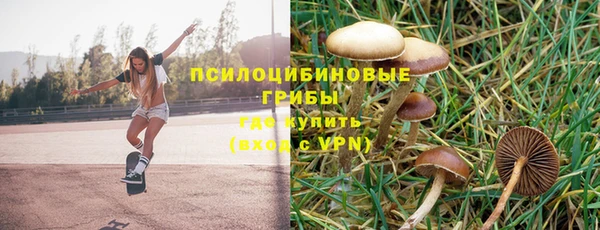 спайс Пролетарск