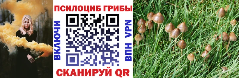 blacksprut зеркало  Агидель  Псилоцибиновые грибы Cubensis 
